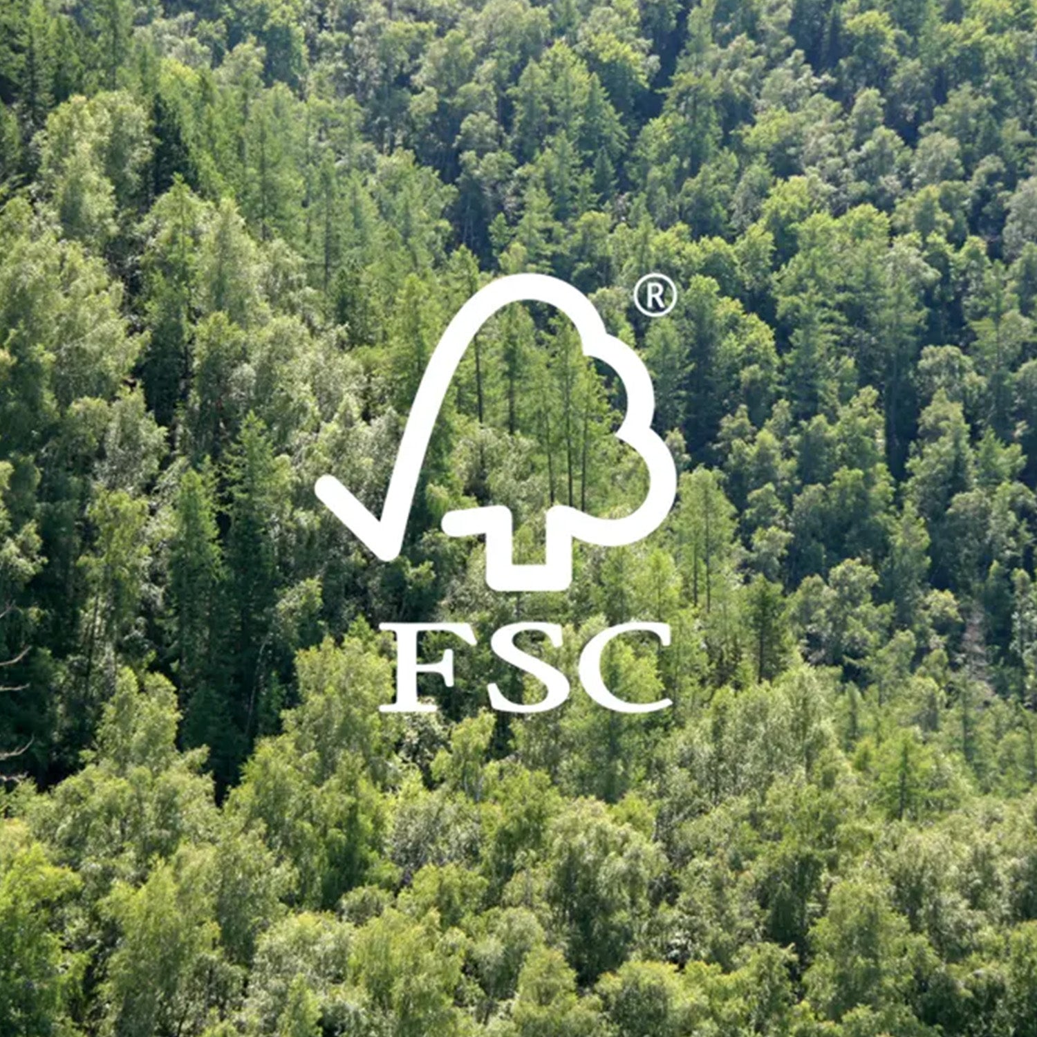 About NeoTImber- FSC
