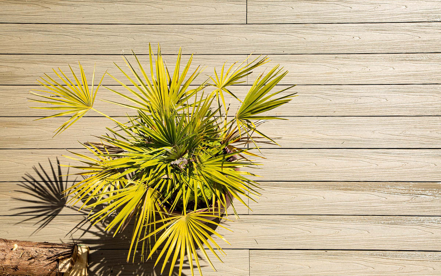 neotimber composite decking
