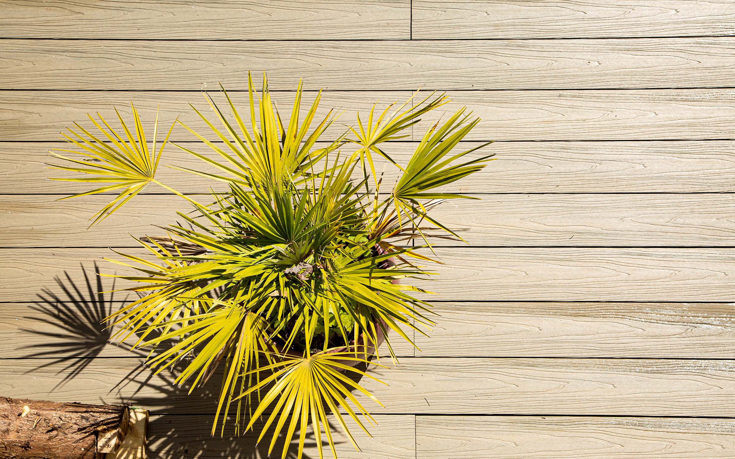 neotimber composite decking