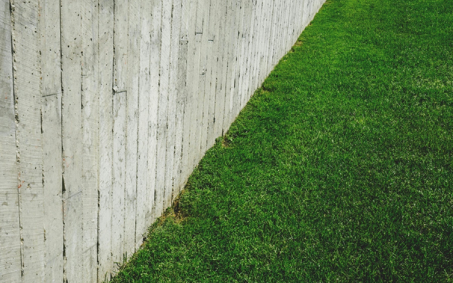 Tired, fading, traditional, timber garden fencing. 
