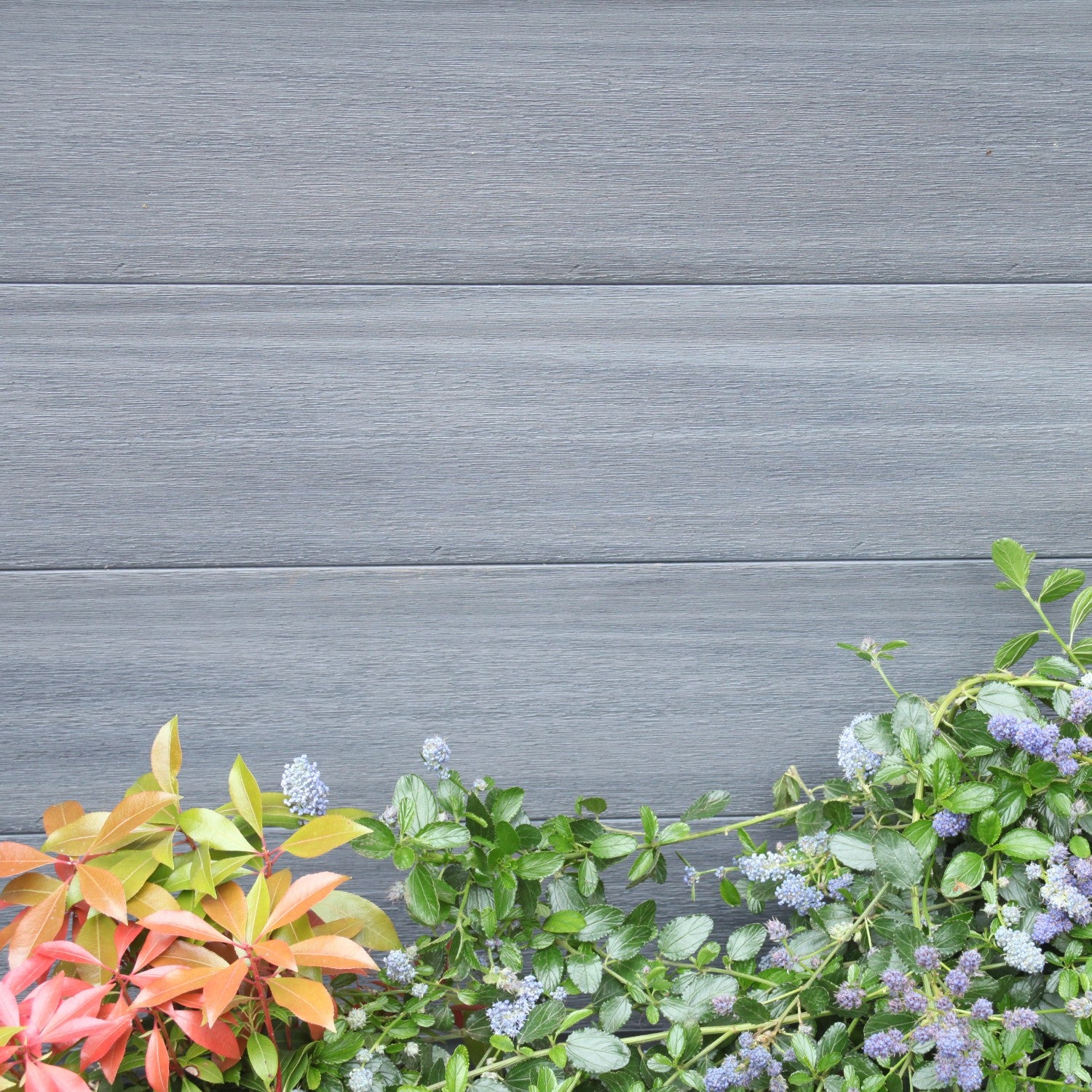 NeoTimber Deluxe Composite Fence Panel Set With Contemporary Design - Two refined textures