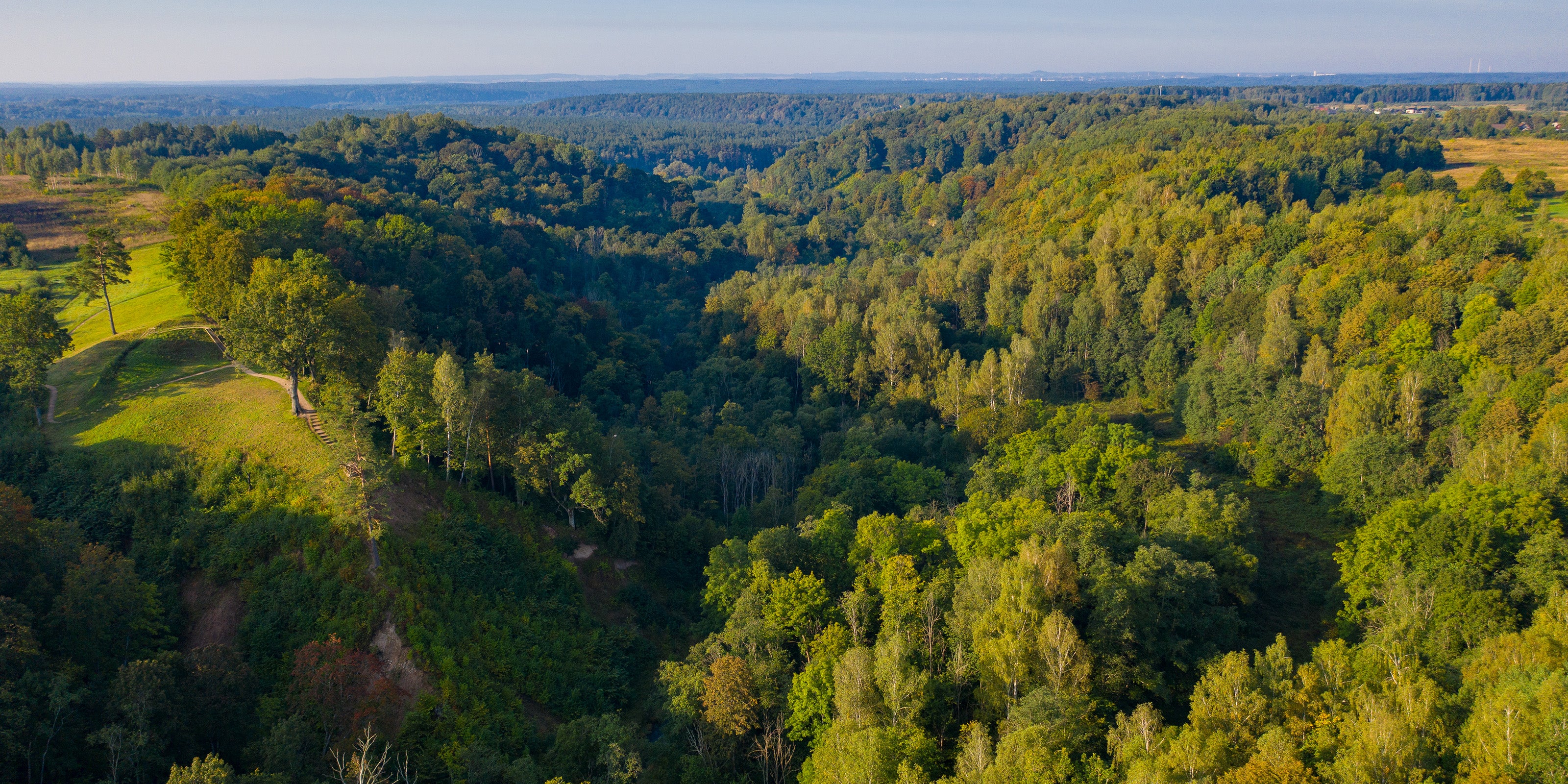 NeoTimber FSC Certification