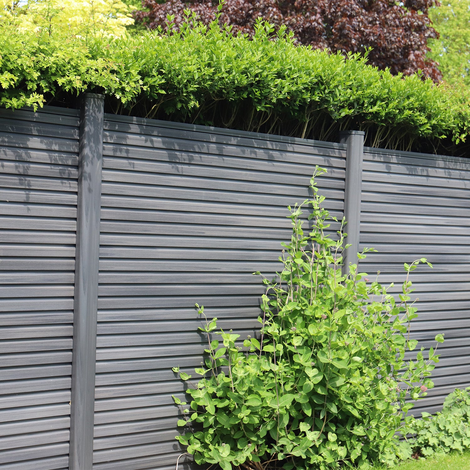 Iso Accreditation - Green Leaf